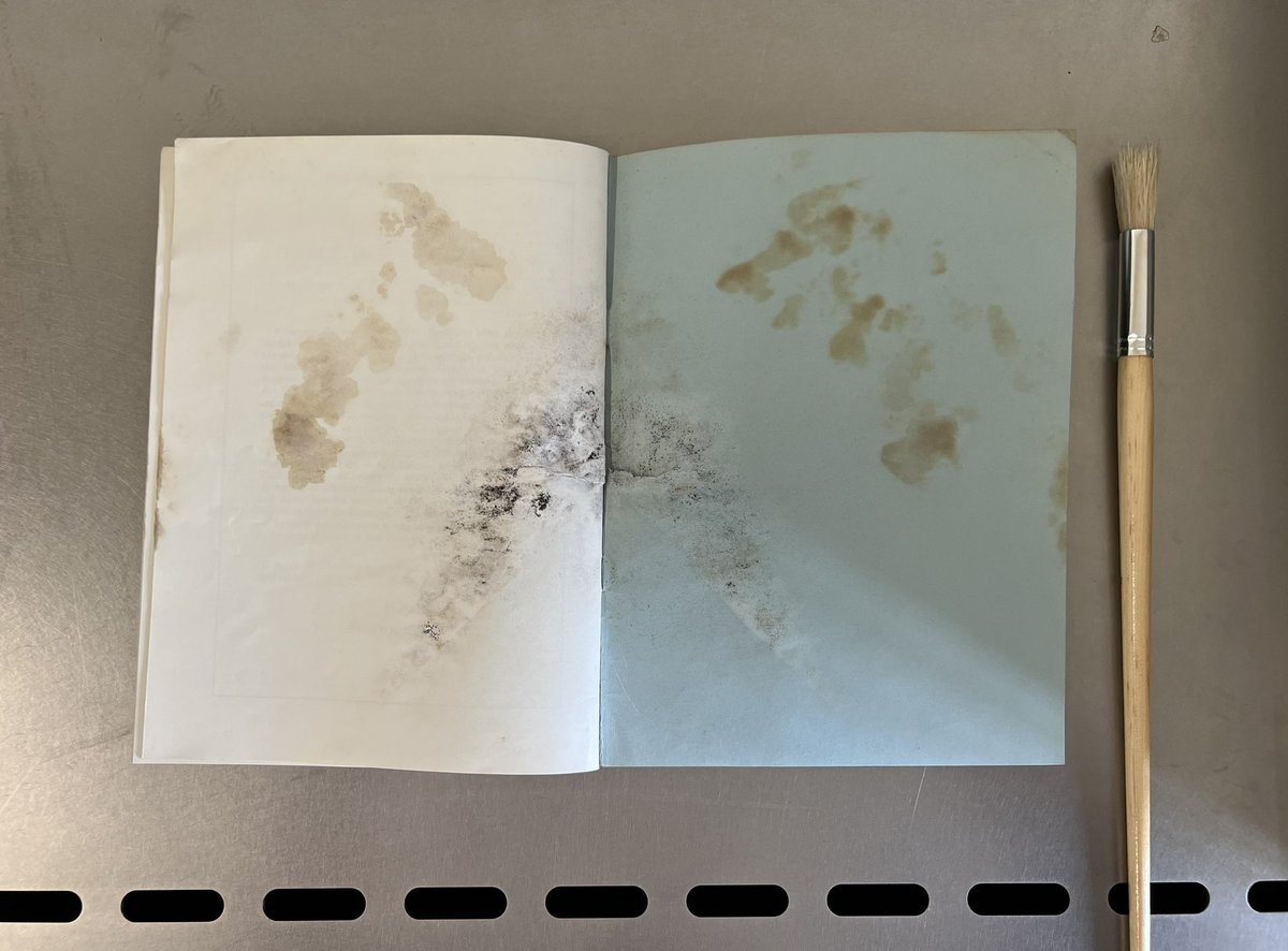 BL Collection Care tweet media