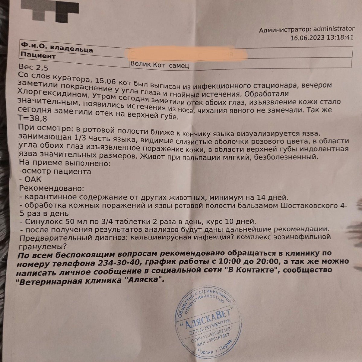 revengersnotend's tweet photo. новость 2 - и плохая и хорошая.
новый кошь, опять сфинкс, из подвала
спасибо, хоть не зимой опять
при чём все соседи знали) что в подвале кошка-сфинкс (очень давно знали) и показывали нам, где ловить)))
у кота истощение, кальцивироз, куча язв на мордочк��
пиздец? пиздец. https://t.co/BoFlLjnAmi