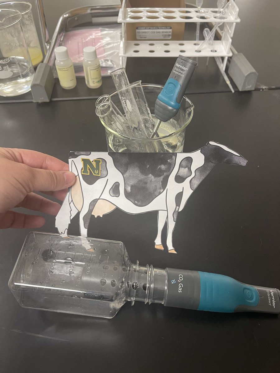 MrsRegersRoom's tweet photo. Day 2 of Curriculum for Agricultural Science Education #NorthviewASA took our #FlatHerd through the world of cellular respiration and osmosis! #TeachCASE https://t.co/z9rjtjLxGJ