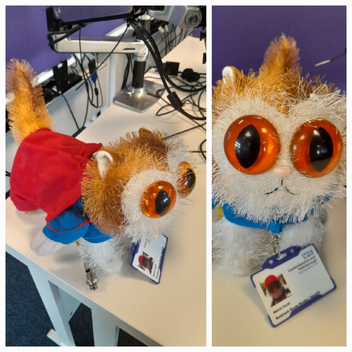 SallyannHR's tweet image. This is Melvin Hurst. Melvin is one of our honory security guards at a site @CPFT_NHS. Melvin has a cape. His super power is cheering me up, if I work late (which I try not to do). What's your superpower? #TuesdayTeaser #WeAreAllUnique #equity