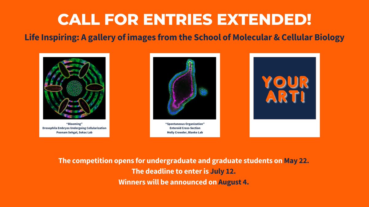 The School of MCB is EXTENDING its call for entries for 🎨 Life Inspiring: Art from the School of Molecular &amp; Cellular Biology📷

Now through July 12, undergraduate and graduate students can apply at go.mcb.illinois.edu/lifeinspiring!