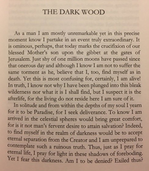 Midway upon the journey of our life
I found myself within a forest dark,
For the straightforward path had been lost.

#Dante #divinacommedia #inferno