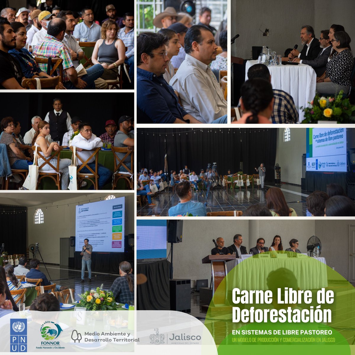 FonnorAC's tweet photo. 🎉🌱🐄 El pasado viernes 16 de junio llevamos a cabo el evento de cierre del proyecto Carne Libre de Deforestación, celebramos los alcances y logros en la implementación de prácticas sostenibles en la ganadería.
#SEMADET #FONNOR #PNUD #GCFTF #CarneLibreDeDeforestación https://t.co/HOxabdMXPf