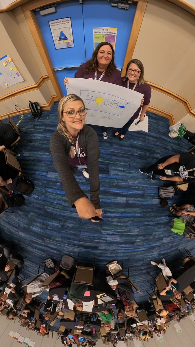 Kristin Ingold tweet media