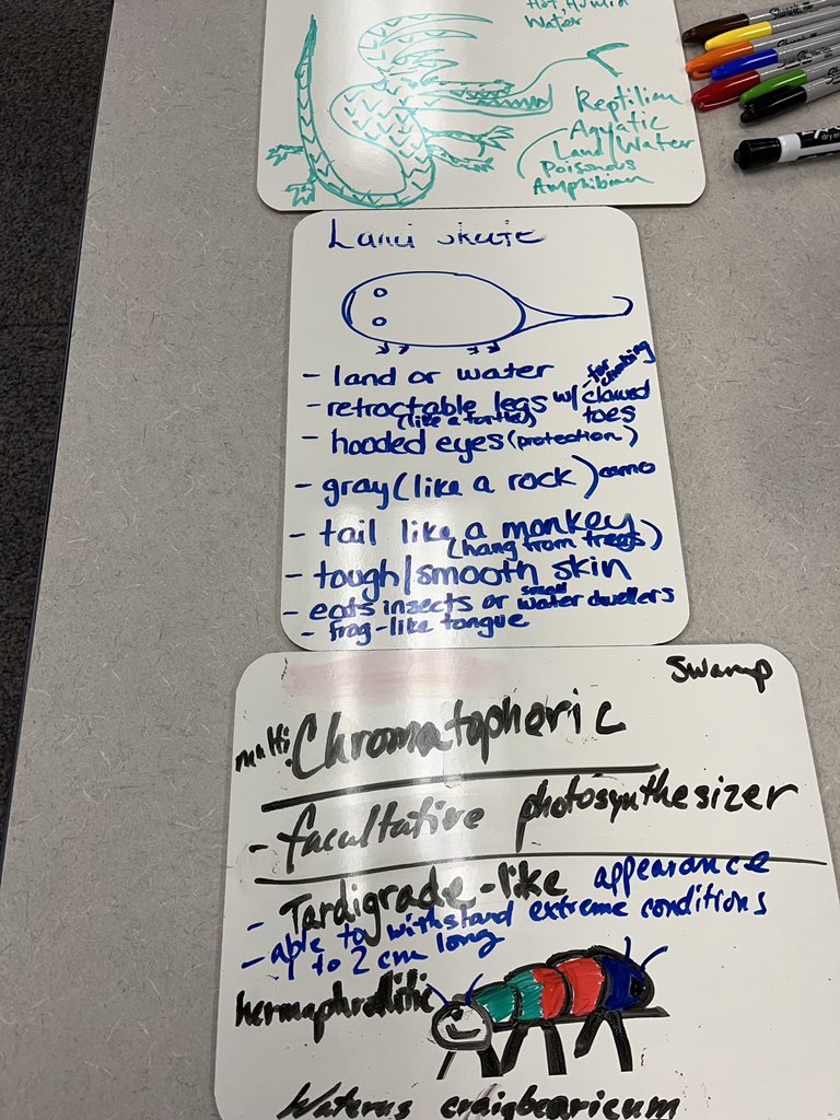 Convergent/Divergent Thinking 🤔 Hierarchical series of organisms each dependent on the next as a source of food… #STEM #msdmvSTEM #STEMintotheFuture