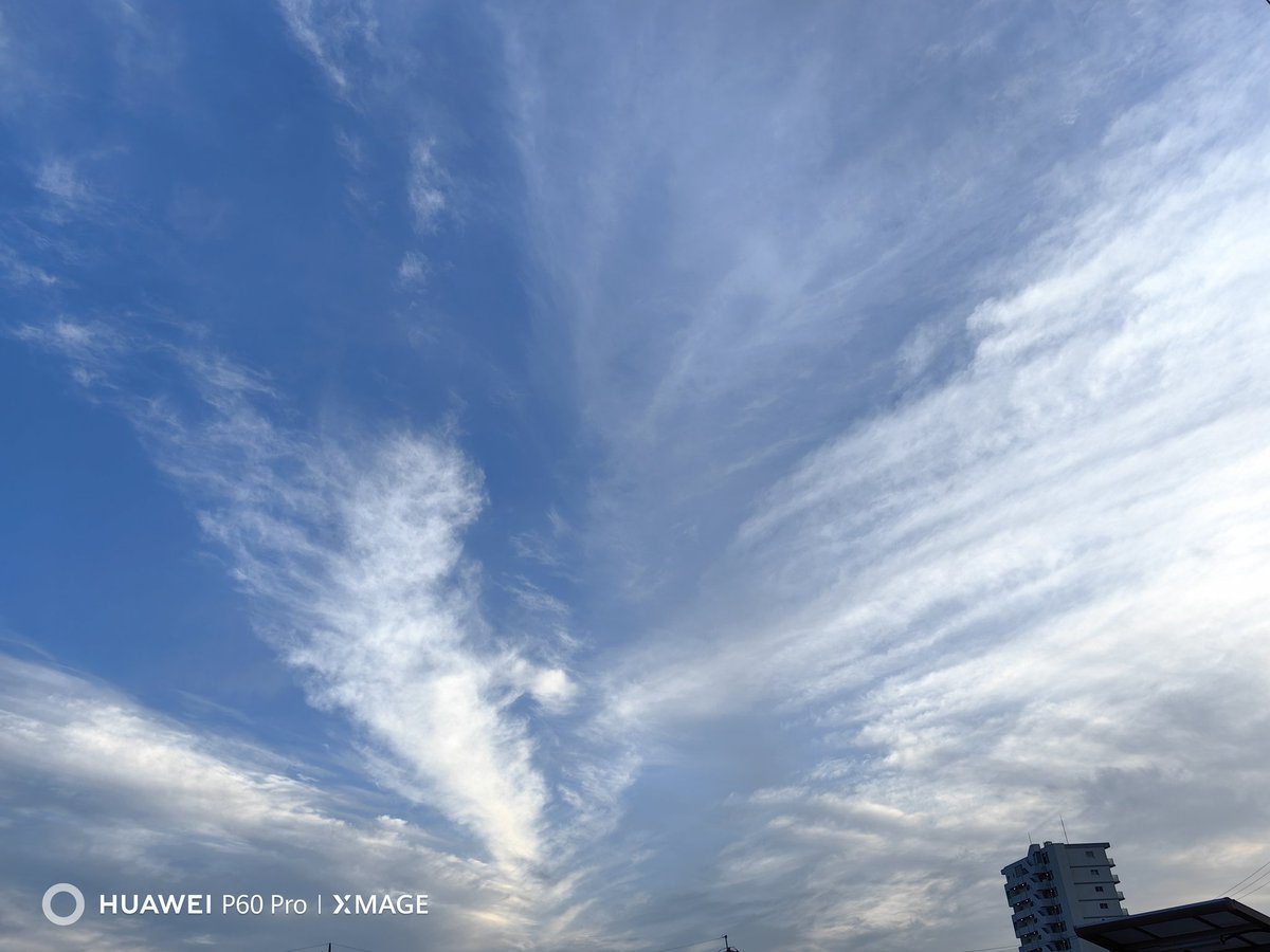 WerthLeon1's tweet image. 5/20(水)　
今朝は５時の電車に乗りました。
珍しい空に会えました。
よい１日を！
#P60Pro