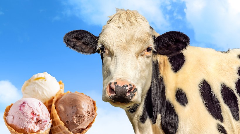 FreeStuff2Win's tweet image. #Contest:  From @CLAAS_America, enter by 6/30 for a chance to win free ice cream for a year! Three winners will receive three quarts of King Brother’s Dairy ice cream for 12 months beginning this August.

claasofamerica.com/claas-central/…