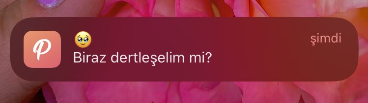bulutyiyencuce2's tweet photo. Halimi hatrımı bi şu uygulama soruyor #pepapp https://t.co/56Q5jvie52
