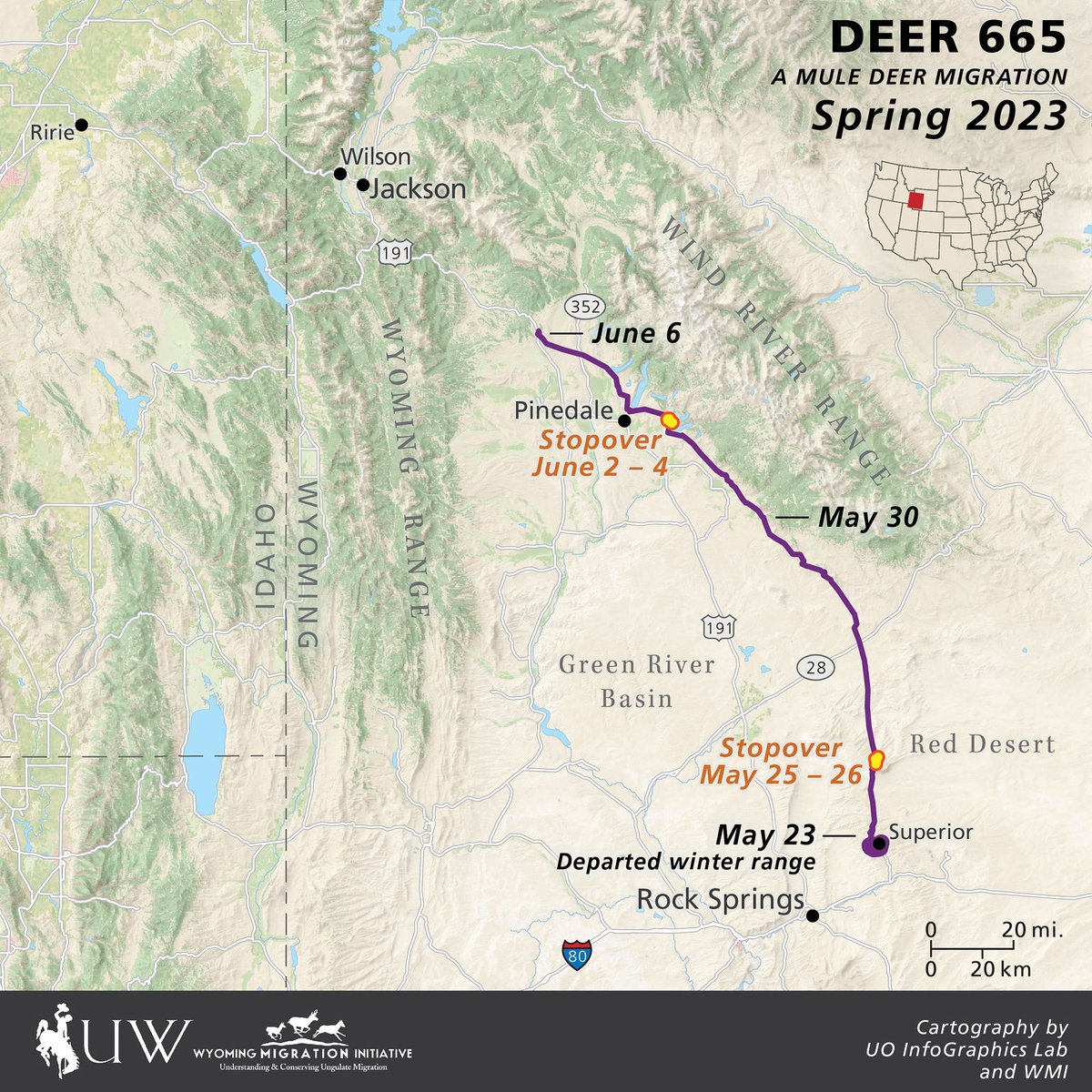 Migration update! In week 2 of #Deer665's migration, she swam raging rivers, jumped myriad fences, and zipped across two highways. She stopped over for two days near Boulder Lake. On June 5-6 she made 15 miles in 10 hours. 60 miles this week, 120 total.  #wyodeer #deer