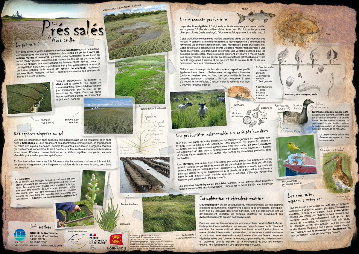 URCPIE de Normandie tweet media