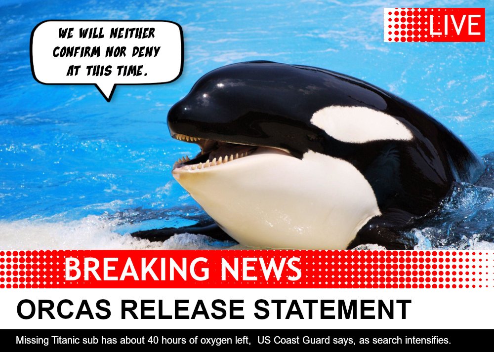 Some meme-ery is afoot. 😏
#TeamOrca