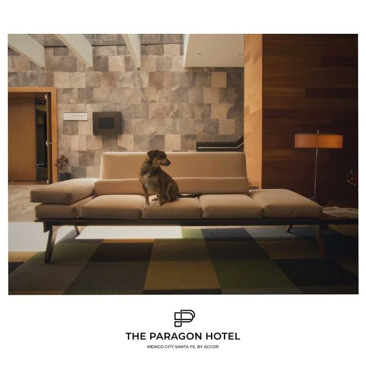 MetaforaLabMx's tweet photo. 🏆 ¿Eres uno de los exclusivos asistentes a la 1" Edición de #AmigosyMotores este 24 de junio en Centro Dinámico Pegaso? ¡Conoce las TARIFAS ESPECIALES que #TheParagonHotel tiene para ti! 

➡️ RESERVACIONES https://t.co/MCASqLZxhj https://t.co/bXS6AQevot