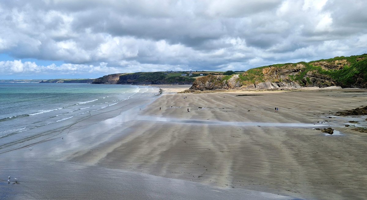 Deirdre O'Flynn tweet media