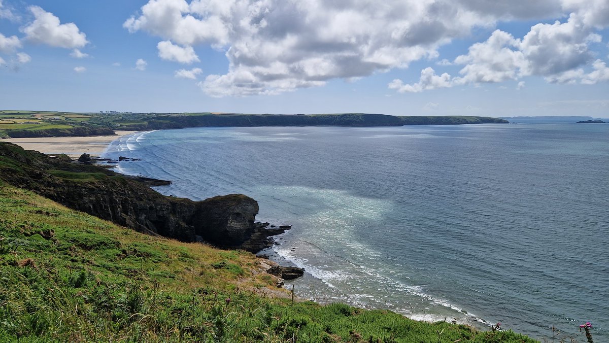 Deirdre O'Flynn tweet media