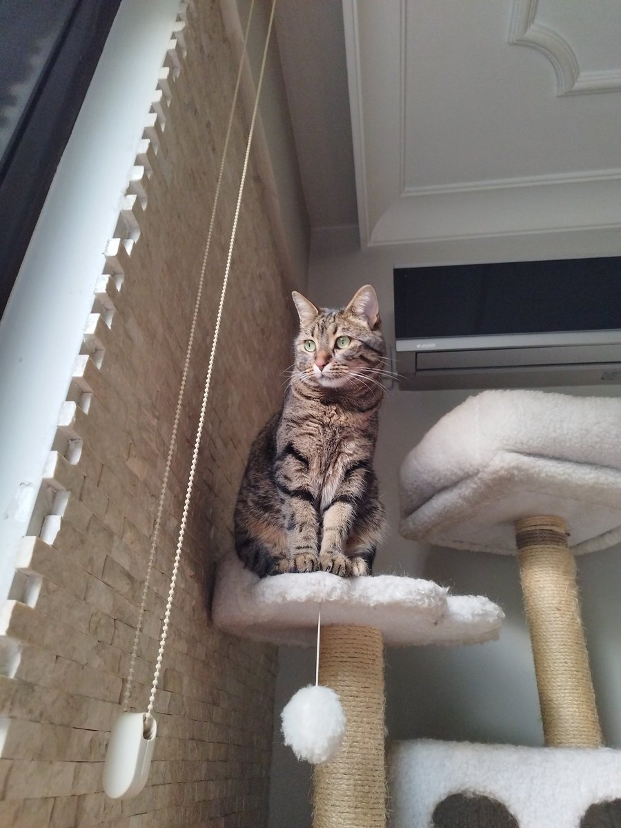 Güzelliğimi onaylatmak için akşam güneşimi bekliyorum