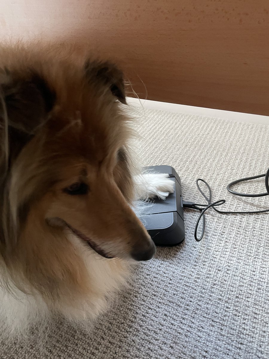 Obiwanshinoobie XXX BLM tweet media