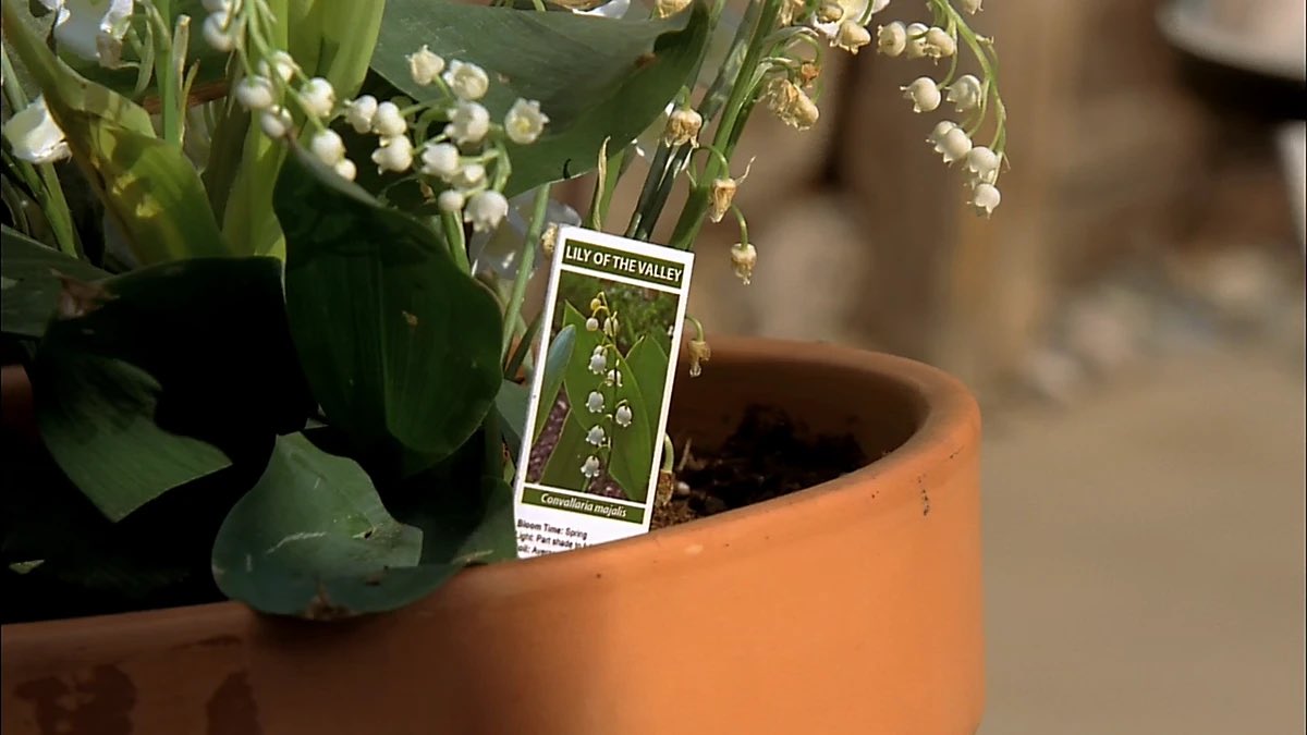 when walt poisoned that kid …