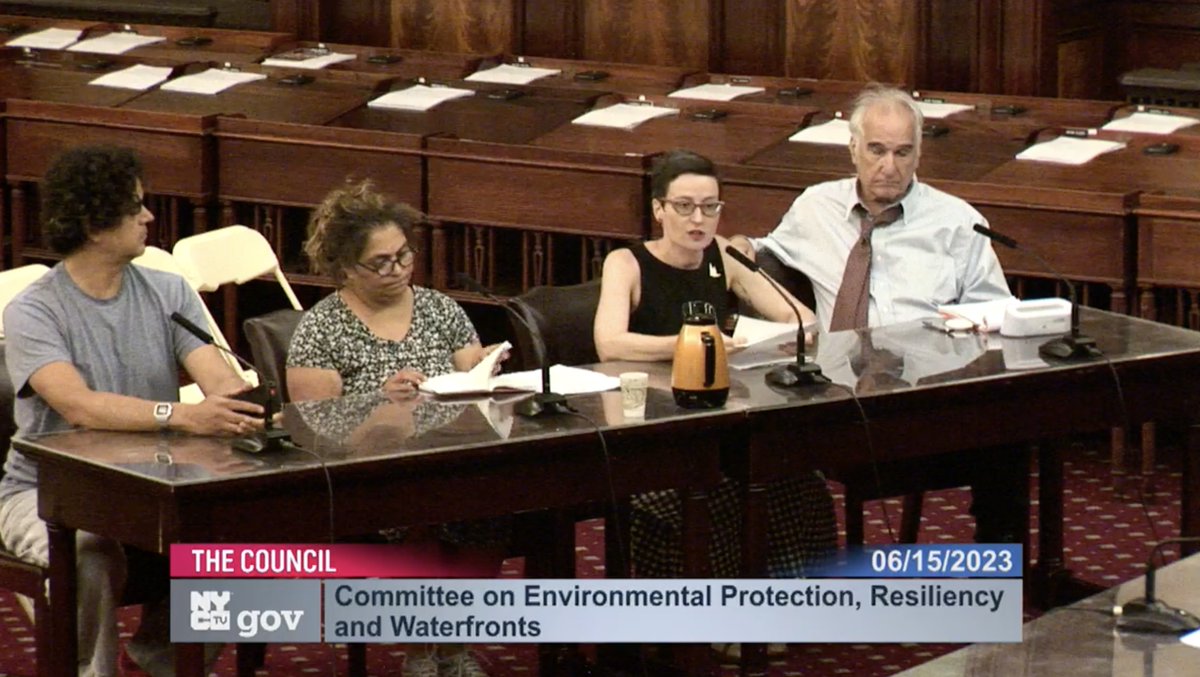 NaturalAreasNYC's tweet image. Last week, we testified @NYCCouncil's hearing on #PlaNYC. We stressed the importance of funding to #naturalareas, which are 1/3 of the park system, yet receive little more than 0.7% of the #NYCParks budget. Take action, sign the 1% for Parks petition: bit.ly/3NDnFp3