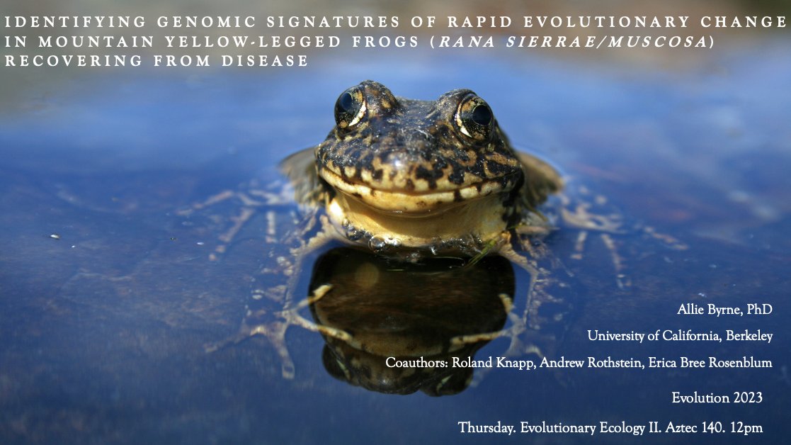 Catch me at #Evol2023 talking about frogs 🐸