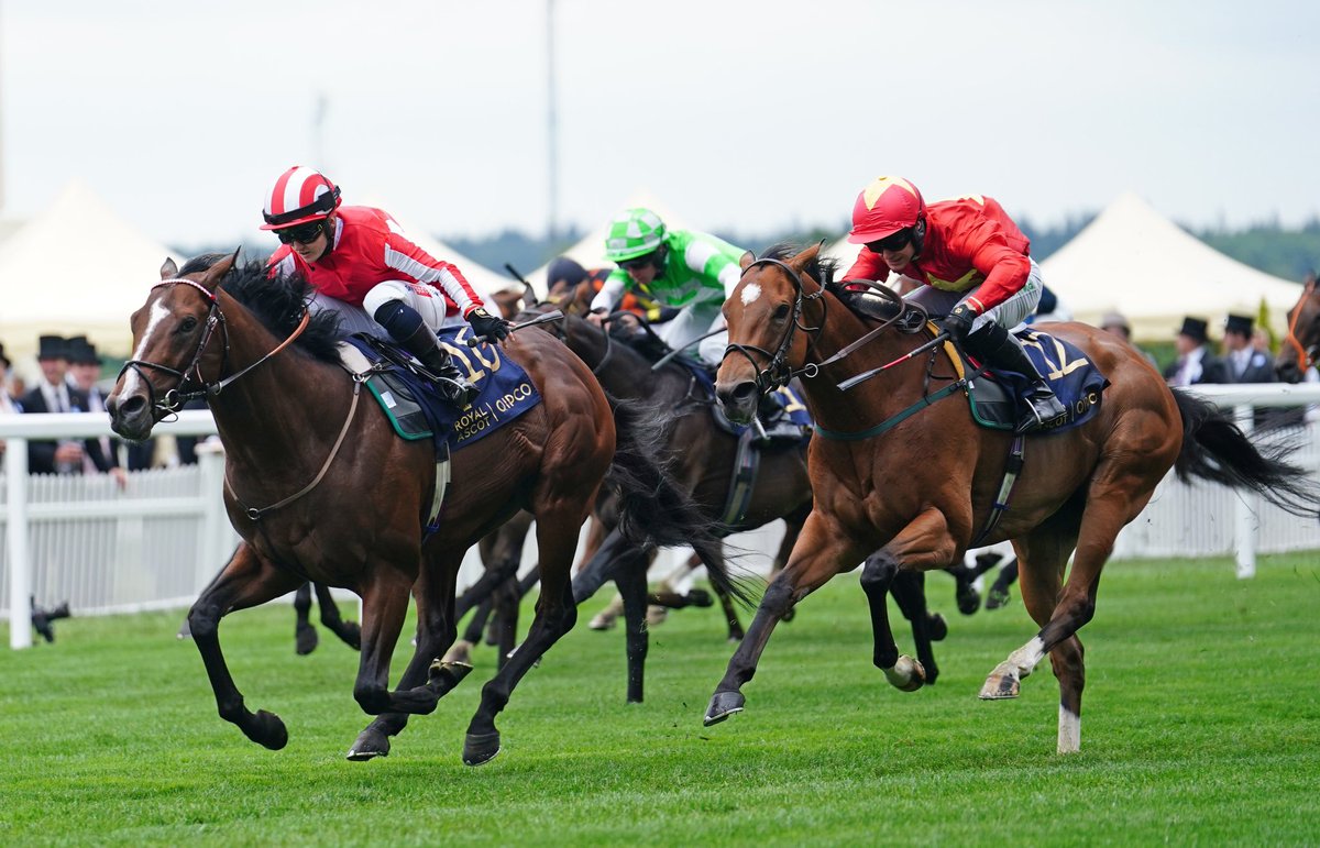 GROUP 1 WINNER Bradsell wins the King’s Stand at Royal Ascot under a great ride from <a href="/HollieDoyle1/">Hollie Doyle</a>! Well done to Victorious Racing and to all the team at home! What an incredible horse! 🤩🎩 <a href="/OStLawrence/">Oliver St Lawrence</a> <a href="/tombiggs_bstock/">Tom Biggs</a> <a href="/BlandfordBldstk/">Blandford Bloodstock</a> #winner #group1 #saxongate