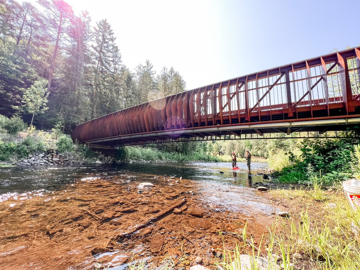 GuelphEng's tweet photo. University of Guelph Engineering students are collecting stream data for research on this beautiful day!☀️ #WaterResourceEngineering #EnvironmentalEngineering @UofGCEPS https://t.co/IzXzIGgZ1B