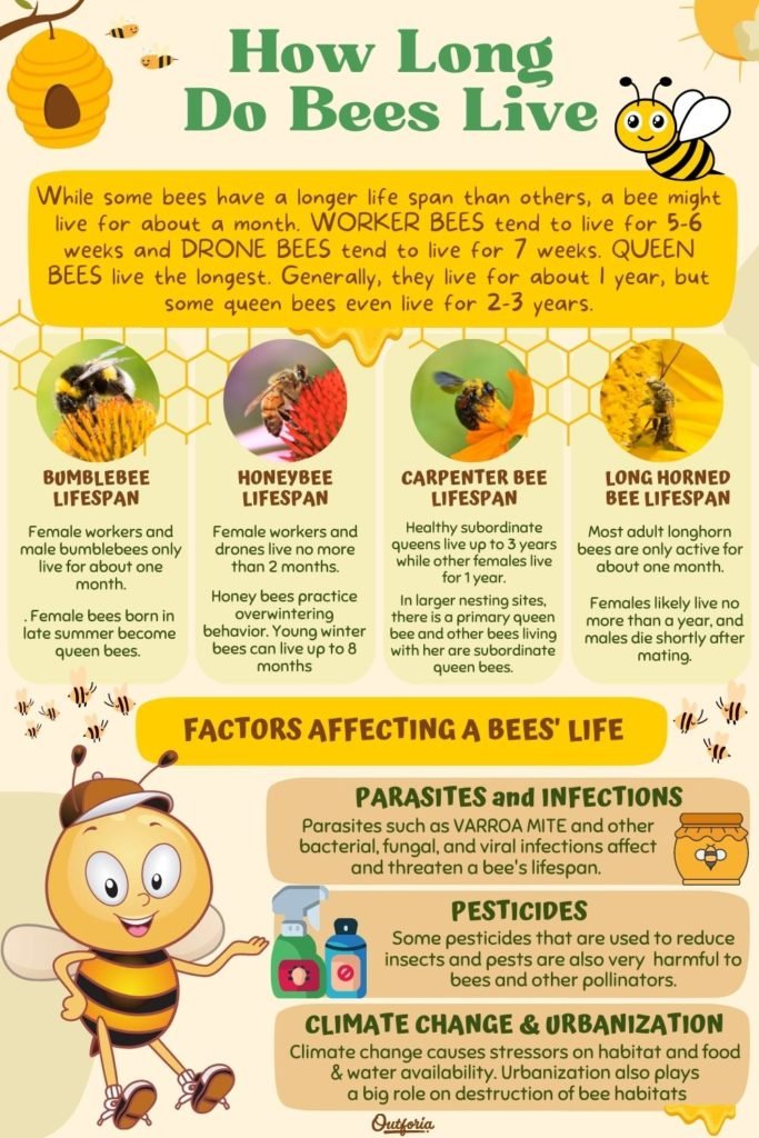 Please retweet this to obtain a ban on pesticides. 😡🐝
👉change.org/SaveTheBee 🆘

 #ClimateEmergncy #ClimateEmergency