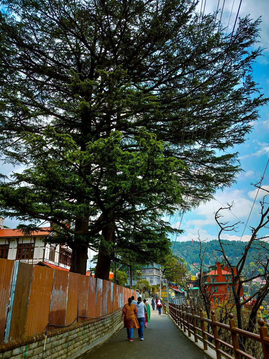 📍Shimla, Himachal Pradesh 

Shimla is the capital of the northern Indian state of Himachal Pradesh, in the Himalayan foothills. 
📸 SUKANYA DUTTA 

DEVICE :- <a href="/realmeIndia/">realme</a> 9

#ShotOnRealme

<a href="/Pindle_India/">PINDLE INDIA 🇮🇳</a>
pindle.io/web/share?sid=…