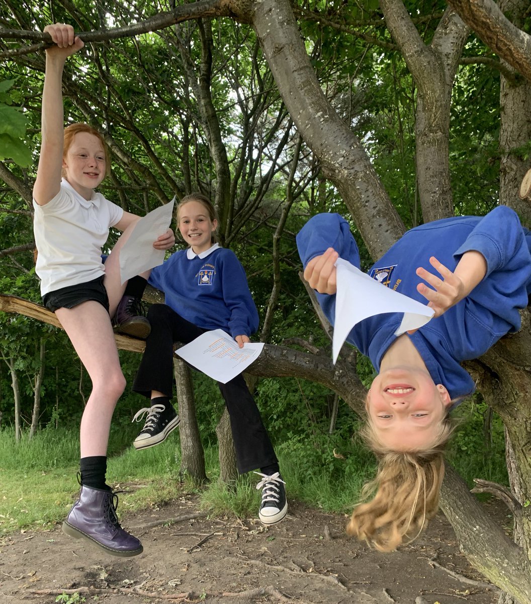 P5 loved taking their literacy outdoors today! What better places to practice our scripts for Readers’ Theatre than the outdoor classrooms and climbing tree! Lots of happy learners! 🌳📖🌟
