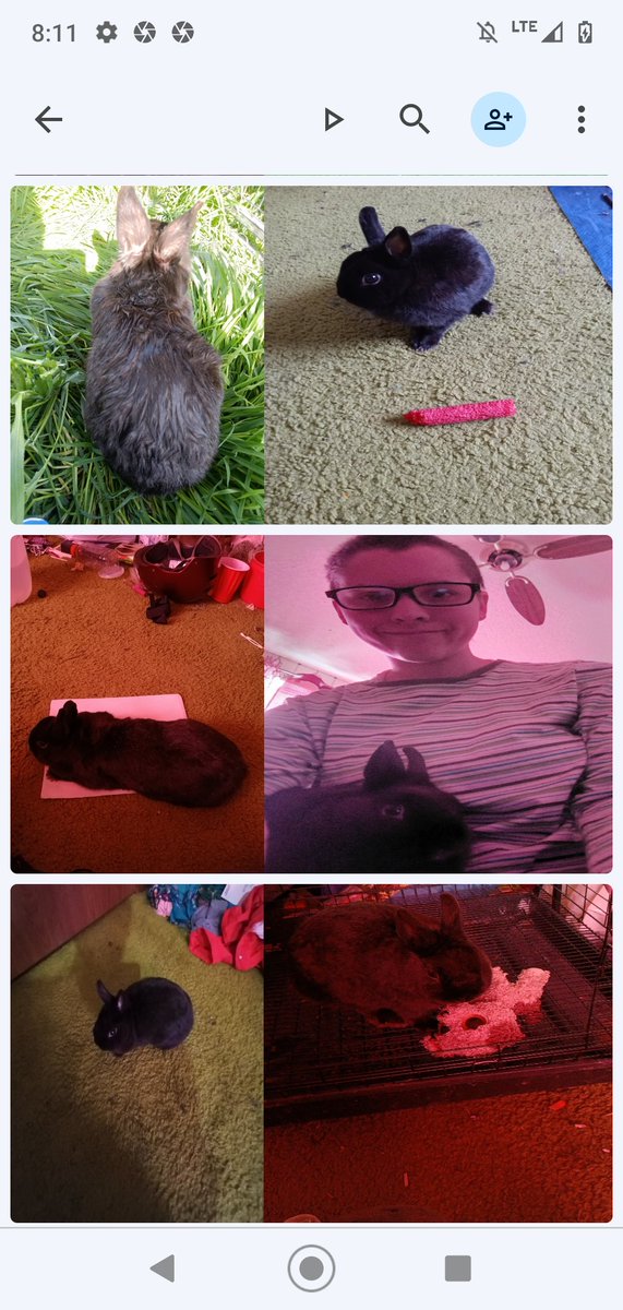 Alyssa200488's tweet photo. In memory of are little furry friend https://t.co/OEF3EDhWQA