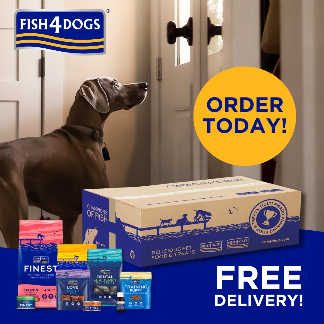 Fish4Dogs's tweet photo. FREE DELIVERY on all orders. Order Today.
Shop here: https://t.co/gFOVNzJZMW
#fish4dogs #dogslovefish #deliveryday #happyhealthydog https://t.co/3FawhNJza7