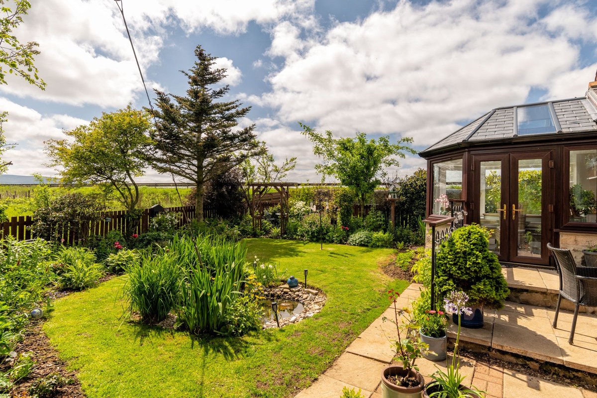 Galbraith_ABD's tweet image. 2 MAINS OF WILLIAMSTON COTTAGES🏡

A lovely semi 3 bedroom cottage just 3 miles from Insch. We love this attractively home&apos;s sun room that overlooks the pretty garden grounds.

☎️01224860710
💻rb.gy/z98jf

#ViewingRecommended #ScottishCottageForSale #ExpertsInOurField