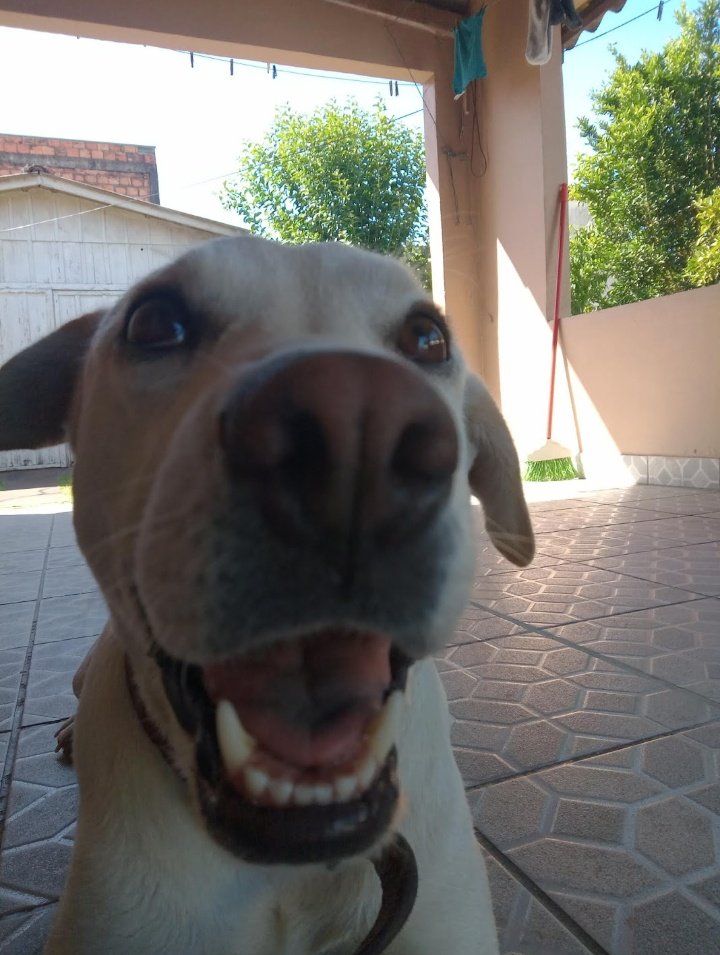 notb3e's tweet photo. a categoria é: olhar
❤️‍🩹 https://t.co/wMPlBQ5iag