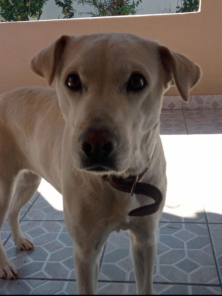notb3e's tweet photo. a categoria é: olhar
❤️‍🩹 https://t.co/wMPlBQ5iag