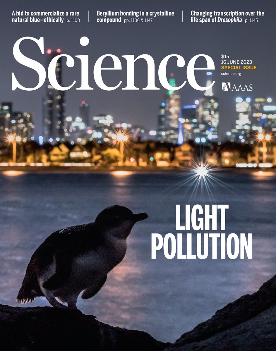 The widespread deployment of outdoor electric lighting means that the night is no longer dark for most people. 

A new special issue of Science examines the effects of #LightPollution on the natural world, human health, and the night sky. scim.ag/32e (THREAD 🧵)