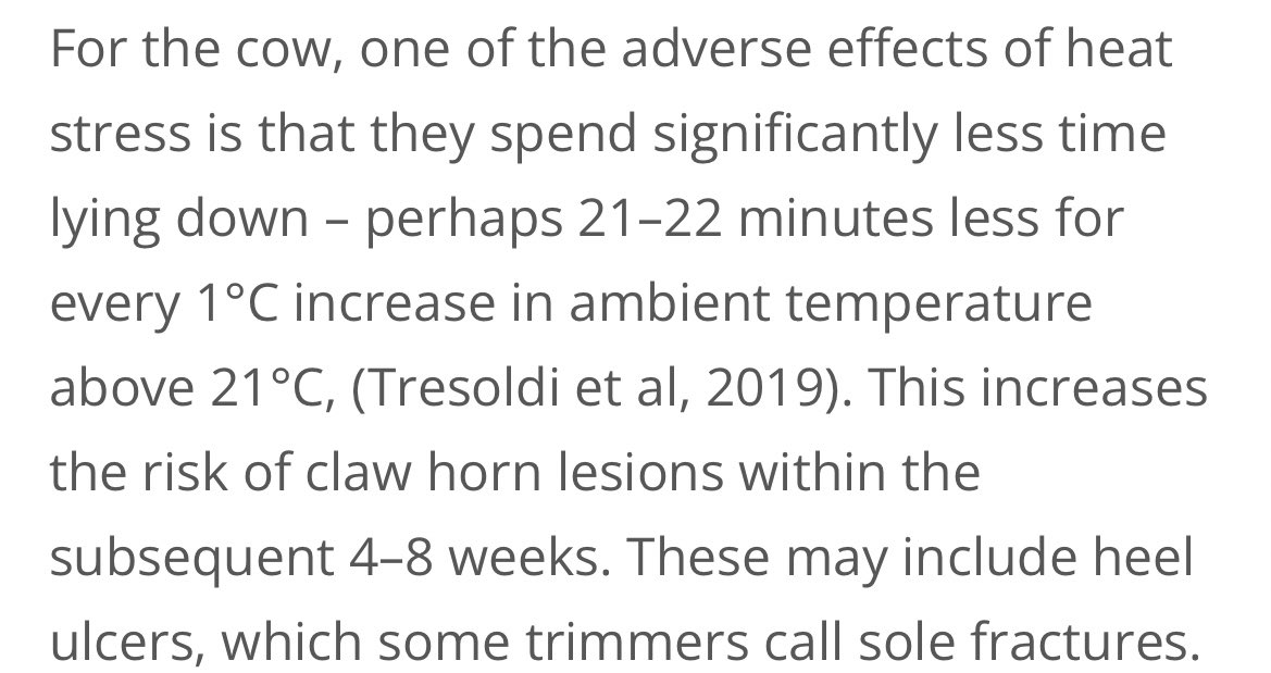 Great quote within this piece from Nick Bell via <a href="/AHDB_Dairy/">AHDB Dairy</a> on impact of heat stress on foot health meaning after last 7-10 days we may well see this impact come early August…

ahdb.org.uk/heat-stress-an…