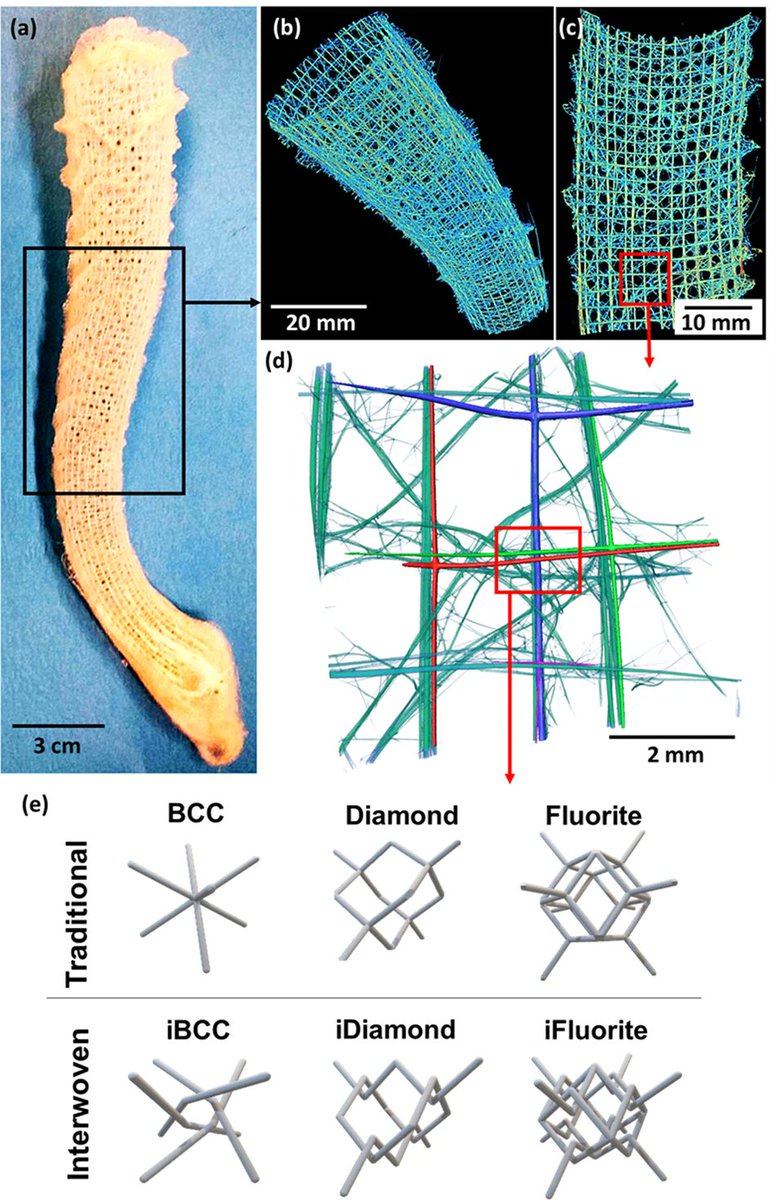 Communications Materials (@commsmaterials) on Twitter photo An interwoven lattice with decoupled nodes shows significantly higher compliance at similar volume fractions to traditional lattices <a href="/yoursdhruly/">Prof. Dhruv Bhate</a> <a href="/Xiangfan_Chen/">Xiangfan Chen</a> @clintpenick
nature.com/articles/s4324… An interwoven lattice with decoupled nodes shows significantly higher compliance at similar volume fractions to traditional lattices <a href="/yoursdhruly/">Prof. Dhruv Bhate</a> <a href="/Xiangfan_Chen/">Xiangfan Chen</a> @clintpenick
nature.com/articles/s4324…