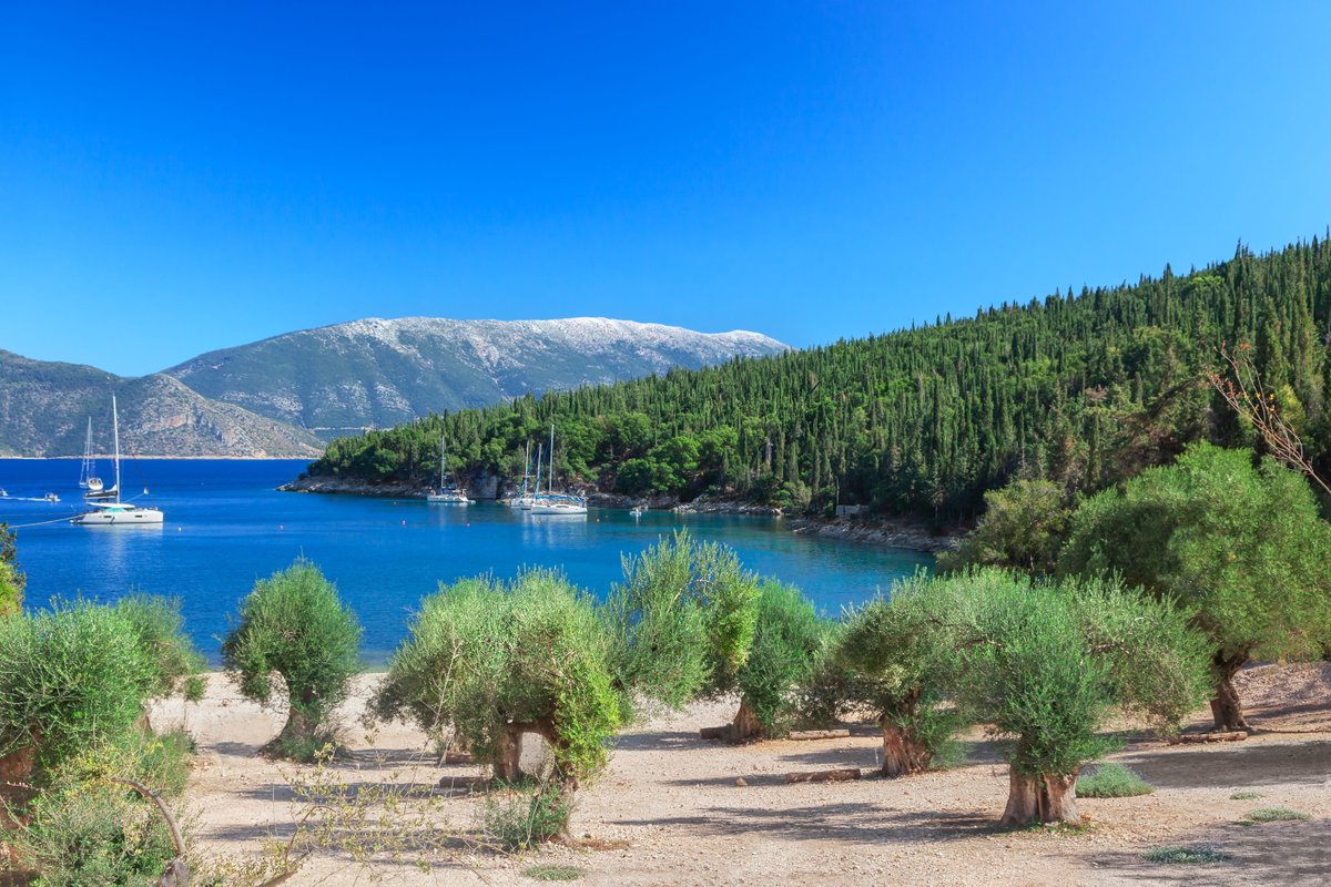 📌 View of Foki Beach, Kefalonia 🇬🇷

#kefalonia #greekmood