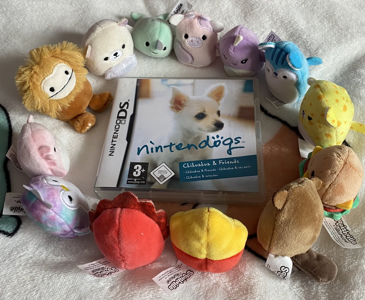 misty_horizons's tweet photo. they are manifesting nintendogs for the switch https://t.co/iFpp4aWVCU