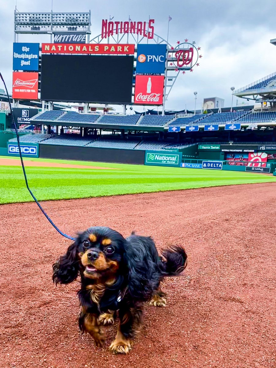 @Nationals @Nats4Good #NatsPetCalendar