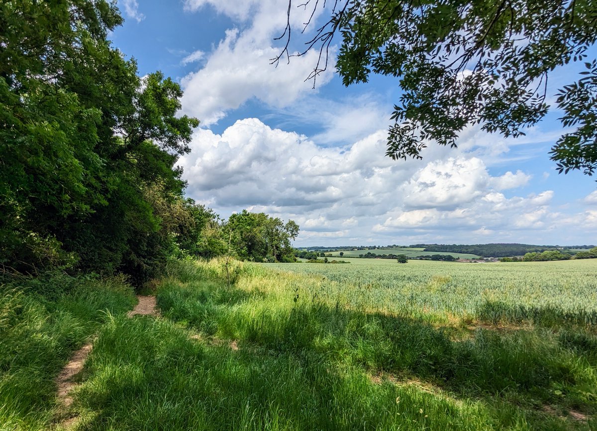 HertsWalker's tweet image. NEW - walk 231 Gustard Wood West Loop. 4.7 miles long. Absolutely free to download and enjoy on any device, including directions, maps, photos, and GPX navigation. #HertfordshireWalks #freewalks #walkingisfree #hertfordshire #walking 
hertfordshirewalker.uk/2023/06/walk-2…