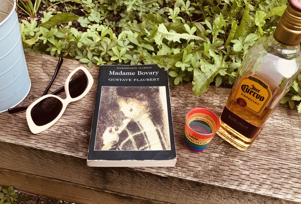 Scandalous! Emma Rouault is married off to local doctor Charles Bovary for a life of drudgery & boredom. She aspires to a life of balls, passion and excitement, embarking on affairs and financial deceit. Duplicitous wench or misguided heroine? #MadameBovary #GustaveFlaubert