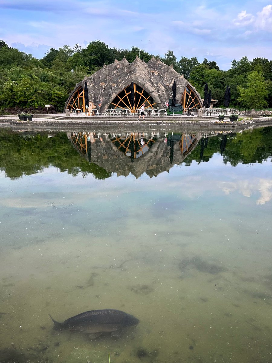 Viele Grüße aus dem #BritzerGarten🐟🐟🐟
#Berlin <a href="/I_love_Berlin/">I ♥ Berlin</a> <a href="/TspLeute/">Tagesspiegel Bezirke</a>