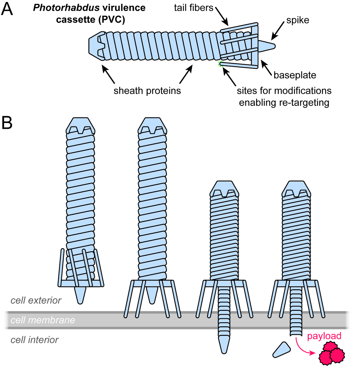 GEN Biotechnology tweet media
