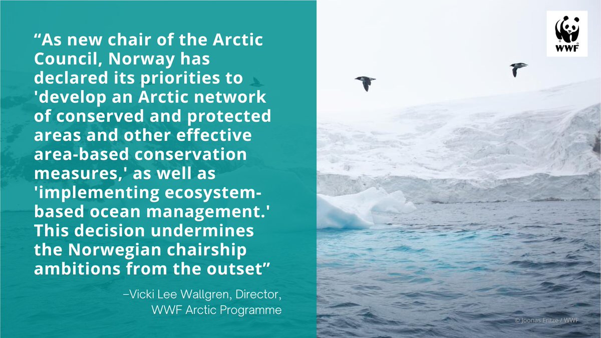 WWF_Arctic's tweet image. 📢The Norwegian government plans to open up a large ocean area in the sensitive #Arctic to #DeepSeaBedMining, going against the new @ArcticCouncil priorities.

WWF calls this &quot;one of the worst environmental decisions #Norway has ever made.&quot;

#ThinkDeeply👇
wwf.panda.org/?9091966/Norwa…