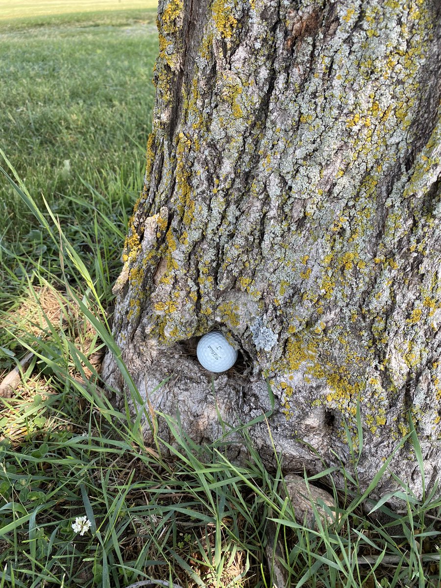 Tough break! #golfishard #golfthecreek