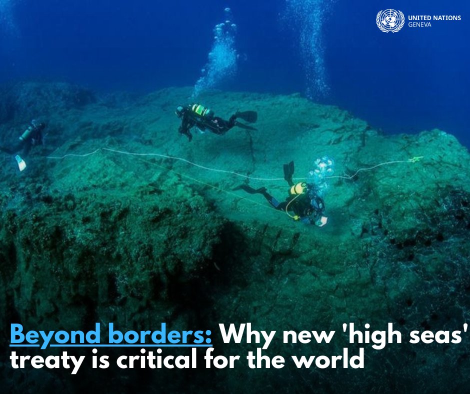 🌊The #UN’s 193 Member States adopted a landmark legally binding marine #biodiversity agreement #BBNJ following nearly two decades of fierce negotiations. See why new 'high seas' treaty is critical for the world👉 ungeneva.org/en/news-media/…