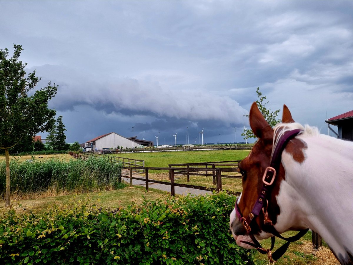JaimeAime1's tweet photo. Mooie wolkenspel boven paardencentrum Dronten
#onweer #CodeOranje #sbs6 #rtl4 #flevoland #rtlweer #regen https://t.co/5ChpA3PdAO