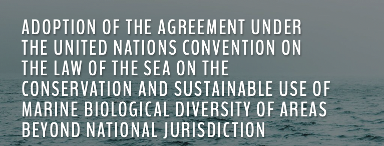 (1/4) The new agreement on #BBNJ will surely accelerate the implementation of the Kunming-Montreal Global Biodiversity Framework (#KMGBF).