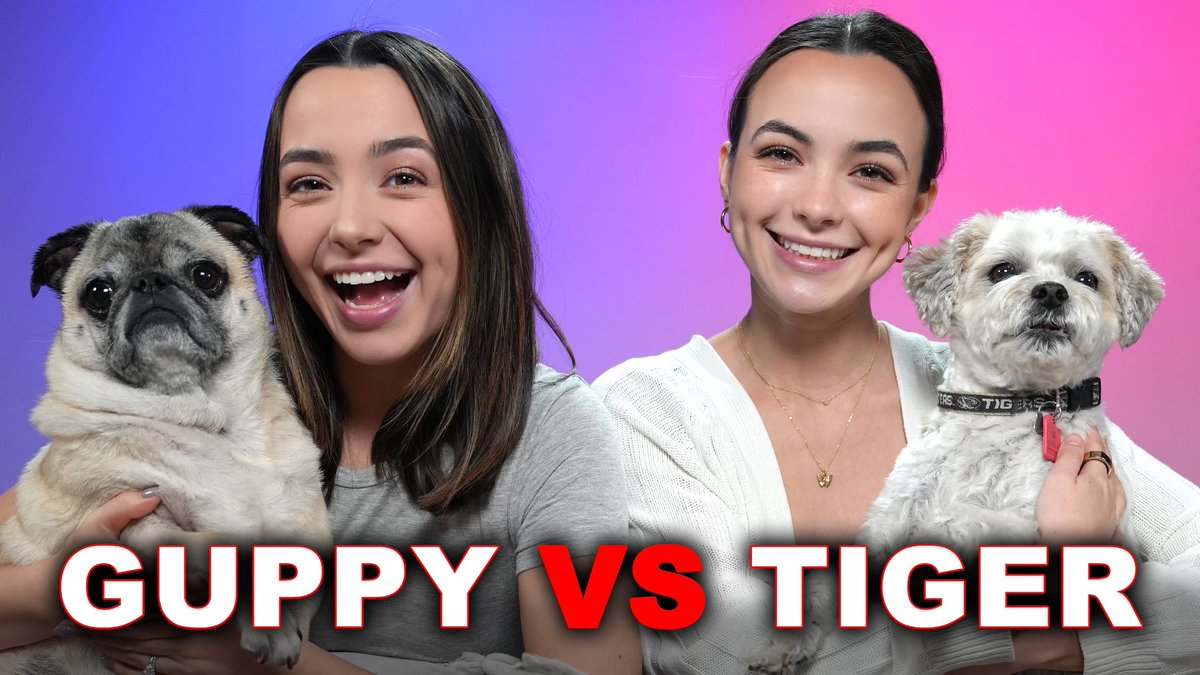 Which dog is better?? Guppy or Tiger? Watch the new video to find out!! 😅 youtu.be/Uc9fl_6hrIg