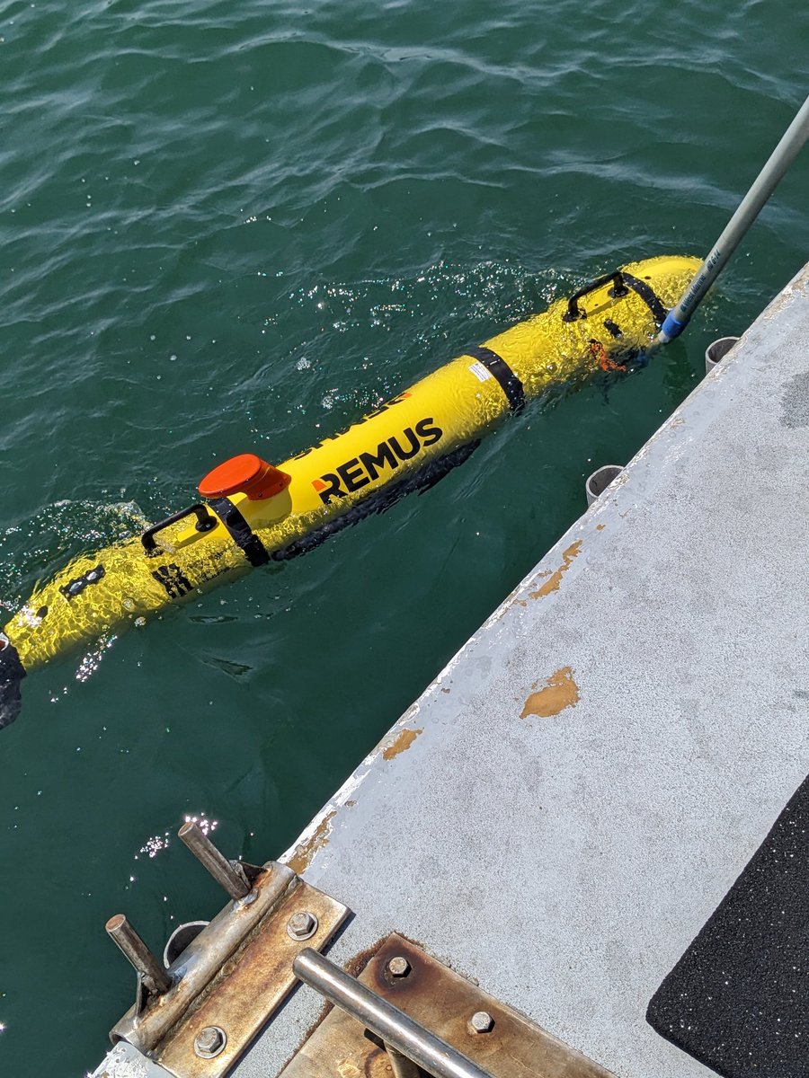 Dianne Greenfield tweet media